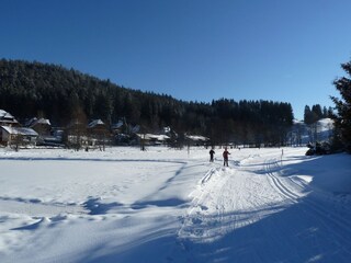 Eisweiher & Langlaufloipe im Tal vor dem Haus