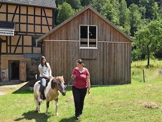 Apartment Frankenau Environment 20