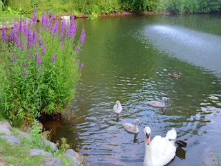 Apartment Frankenau Environment 27