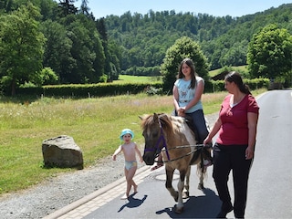 Appartement Frankenau  35