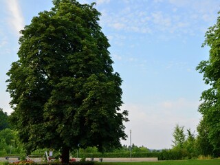 Apartment Frankenau Umgebung 18