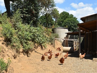 Apartment Frankenau Außenaufnahme 9