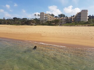 View from the beach. Flat top right