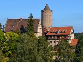 Hinterburg Schlitz mit Hinterturm