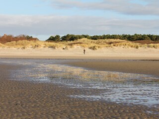 Ferienwohnung Wyk auf Föhr Umgebung 24