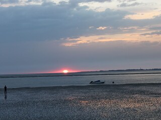 Ferienhaus Wyk auf Föhr Umgebung 36