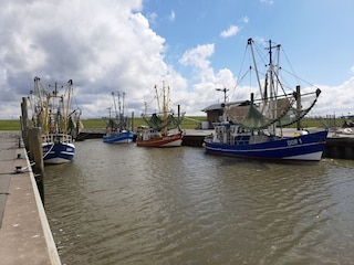 Kutterhafen Dorum