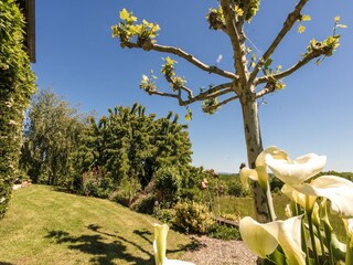 Villa Saint-Solve Buitenaudio-opname 8