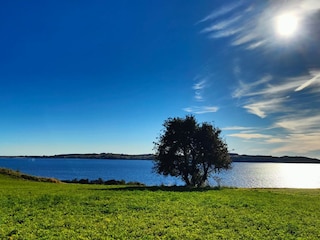 Ferienwohnung Middelhagen Außenaufnahme 8