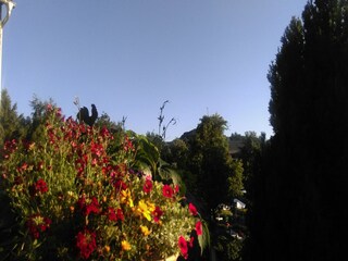 Apartment Willingen Outdoor Recording 4