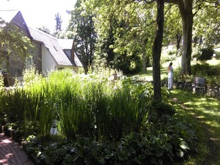 Appartement Willingen Environnement 30