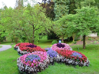 Apartment Frankenau Umgebung 30