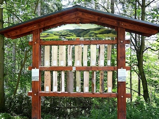 Appartement Willingen Environnement 31