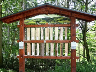 Appartement Willingen Environnement 39