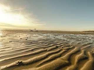 Das Wattenmeer