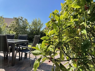 Ferienhaus Julianadorp Außenaufnahme 5