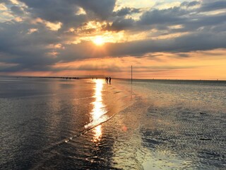Abendliches Watt wandern
