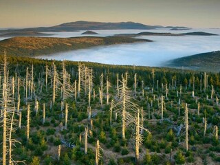 Maison de vacances Bedrichov Environnement 28