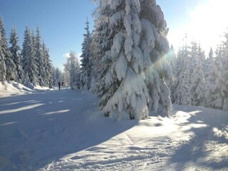 Casa per le vacanze Bedrichov Ambiente 29