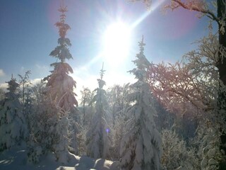 Casa per le vacanze Bedrichov Ambiente 30