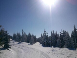 Maison de vacances Bedrichov Environnement 28