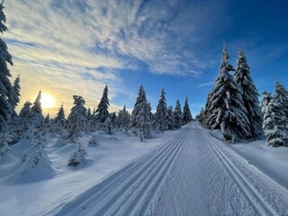Maison de vacances Bedrichov Environnement 30