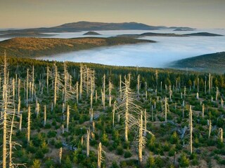 Holiday house Bedrichov Environment 24