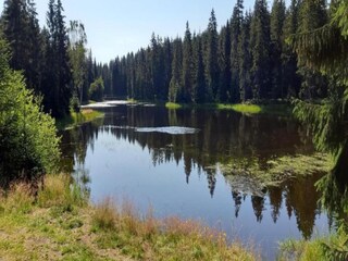 Vakantiehuis Bedrichov Omgeving 31