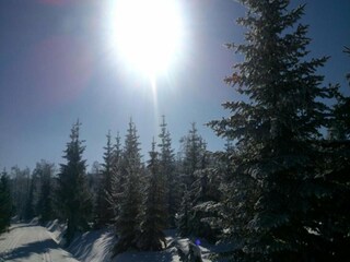 Maison de vacances Bedrichov Environnement 33