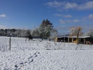 Villa moderna a Rochefort vicino ai cavalli - Rochefort - image1