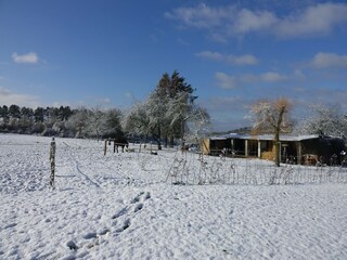 Villa Rochefort Buitenaudio-opname 2