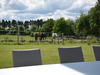 Villa Rochefort Buitenaudio-opname 6