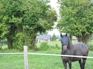 Villa Rochefort Buitenaudio-opname 11