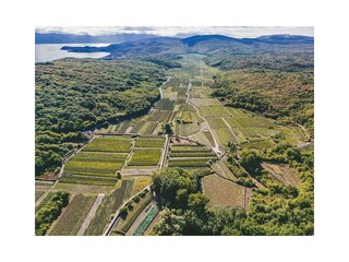 Apartamento de vacaciones Šilo Entorno 23