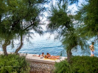 Apartamento de vacaciones Šilo Entorno 20