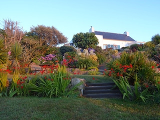 Garten Im Sommer