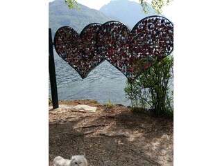 Appartamento per vacanze Obertraun Registrazione all'aperto 14