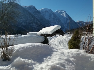 Ausblick von der Ferienwohnung Landhaus Bergidyll ````