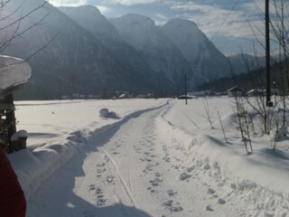 Appartamento per vacanze Obertraun Registrazione all'aperto 5