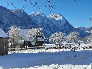 Holiday apartment Obertraun Outdoor Recording 3