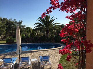 Tenuta Can Picafort Registrazione all'aperto 9