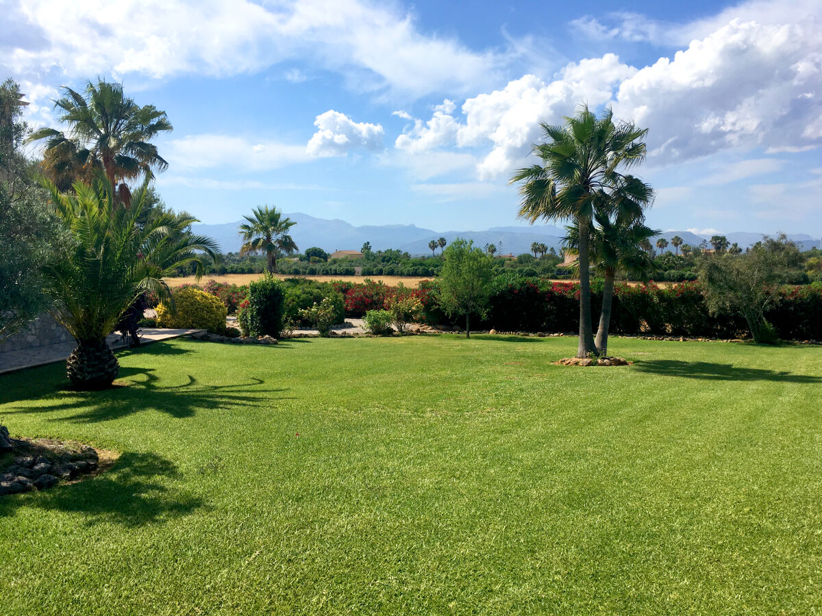 Blick auf den Garten hinter der Finca