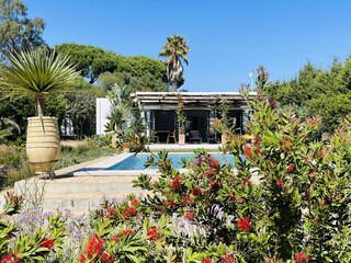 Vakantiehuis Vejer de la Frontera Buitenaudio-opname 2