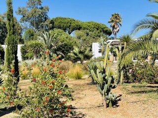Vakantiehuis Vejer de la Frontera Buitenaudio-opname 9