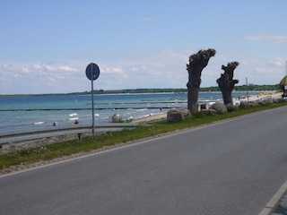 Strandabschnitt