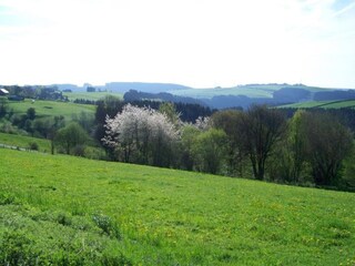 Vakantiehuis Hellenthal Omgeving 39
