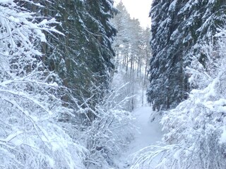 Vakantiehuis Hellenthal Omgeving 37