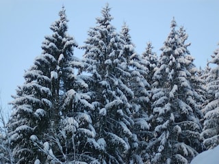 Ferienhaus Hellenthal Umgebung 34