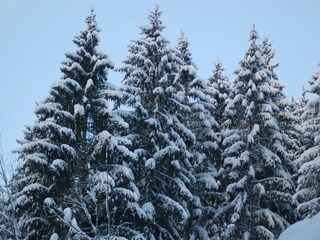 Holiday house Hellenthal Environment 34