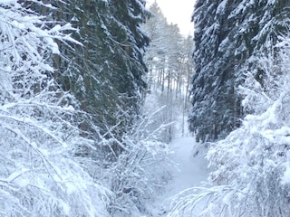 Ferienhaus Hellenthal Umgebung 39